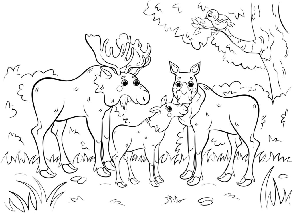 OL2EznaijT6G2U2e98Pf9PETIbFp9Yub2x5Poy CcgefDLgM7FOjS0hKBor8Acn1Li zXnwzGRCLSpAJCme vRK9TnrwY05G7qxJom3uhTVLLAQ1tfZYUJapJaOkM2pdLk7xnxE77 DTKY2ufvnJhIIZt2QhYZvFbOtAiCnod5nWoHAOVKdKLiw mGBn4 m3